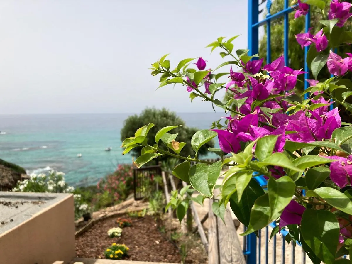 Villa Wanda - Seafront Apartment On Cala Burantino With Private Cove 알게로
